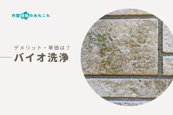 外壁塗装のバイオ洗浄とは？デメリット・単価・自分で行う場合の注意点を解説